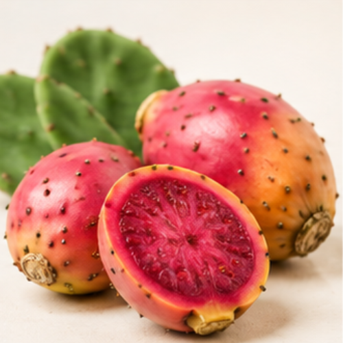 FIGUES DE BARBARIE